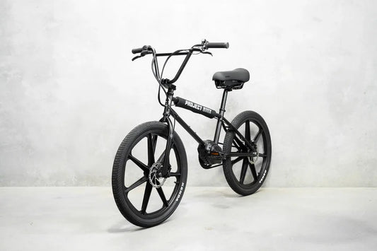 Lightweight Electric Bike