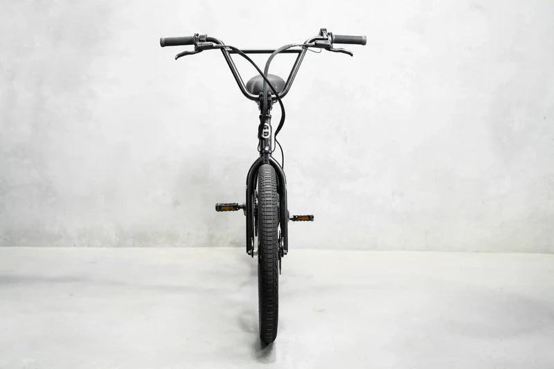 Lightweight Electric Bike